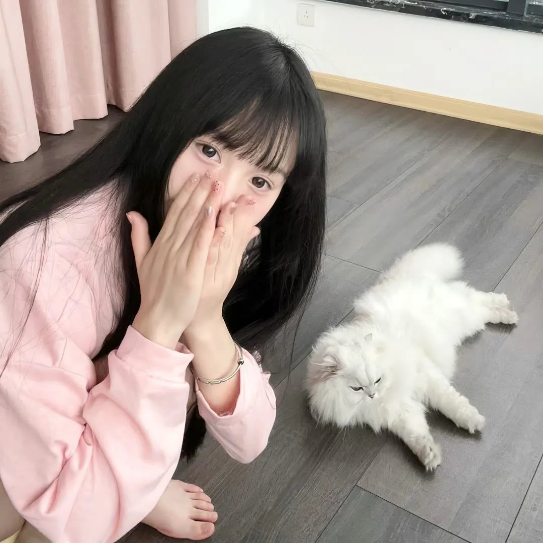 逗逗迪迪之美梦年年